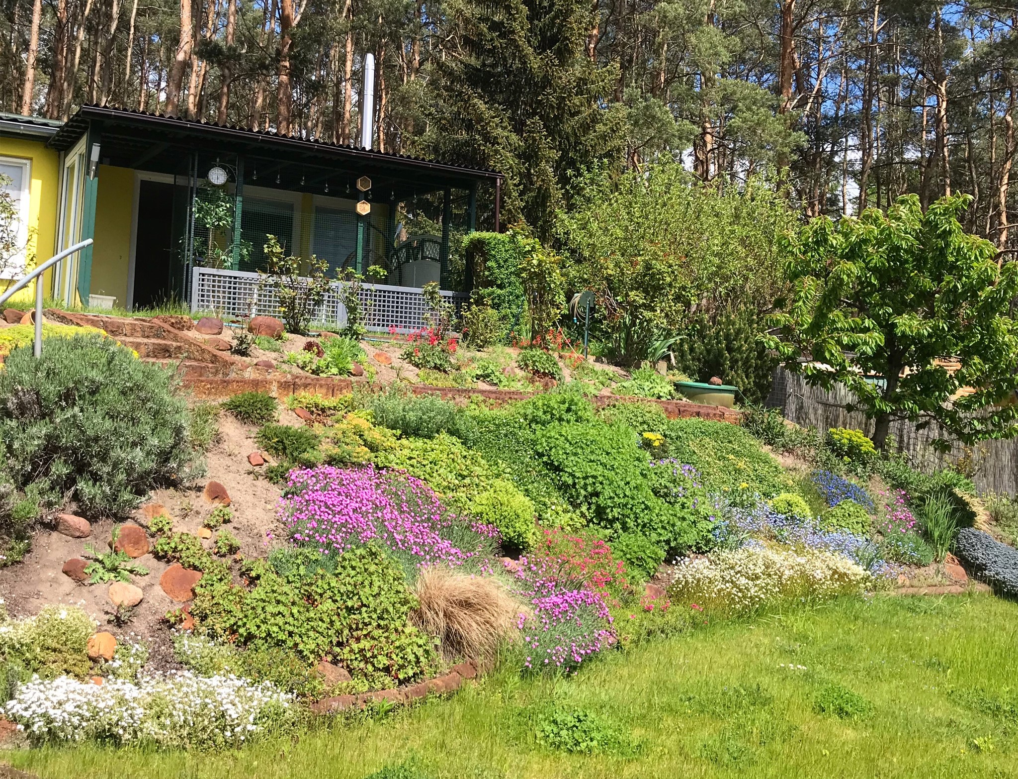 Frühlingsangebot!!!