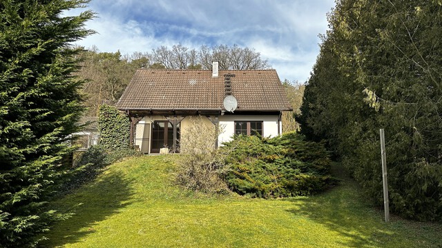 Am Waldesrand in Vieritz